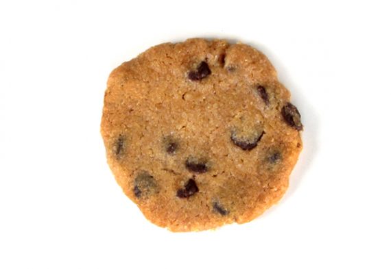 Chocolate Chip Nibbles